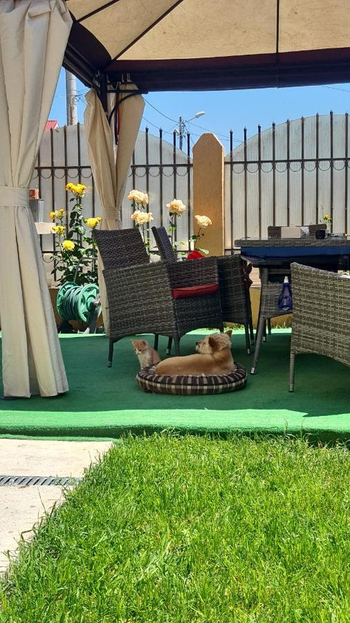 Vila Adina Eforie Nord Dış mekan fotoğraf